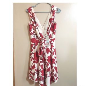 Keepsake Mini Dress-Light Pink with Red Flowers
